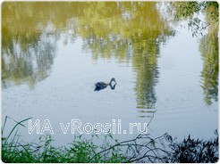 Погода благоволила участникам Open street fishing in Belgorod