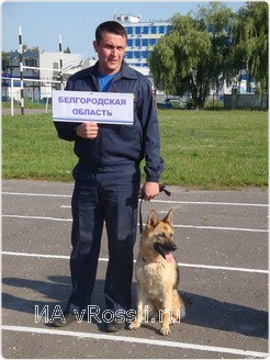 Белгородскую область представляли кинолог-спасатель Константин Гражданкин и овчарка Дана