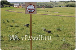 Предупреждение на входе в сафари-парк