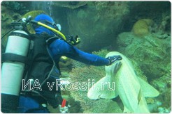 <em>Рыбы не понимают слов, но чувствуют биополе</em>