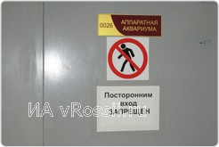 <em>Здесь работают люди особой профессии</em>